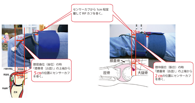 膝屈曲位、伸展位のRIP AUTOのカフの巻き方の図